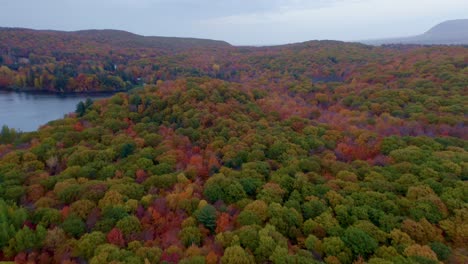 Aerial-shot-over-a-beautiful-colourful-forest-beside-a-lake-in-autumn