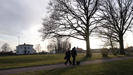 Couple-with-dog-walking-walkway-road-sunset-Swedish-Sweden-city-suburban-suburbs-town-people-nordic-school-pet-owners-silhouette-cars-driving-area-rural-residents-people-picknick-afternoon-walk-park