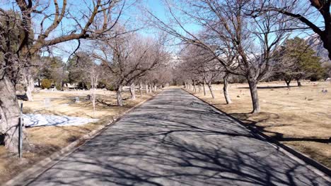 Drone-flying-down-cemetery-tree-lined-road-looking-through-creepy-leafless-trees-on-a-sunny-clear-winter-day,-drone-flies-into-tree-branch-at-the-end