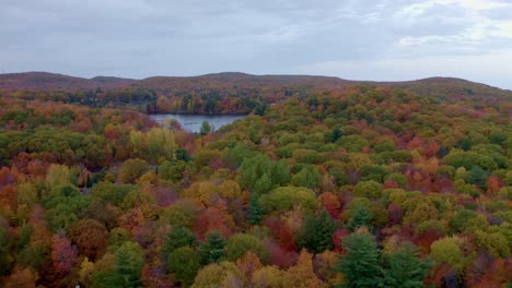 Aerial-shot-of-lake-and-colourful-forest-in-fall-in-Quebec
