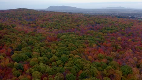 Drone-pan-looking-over-a-colourful-forest-in-autumn