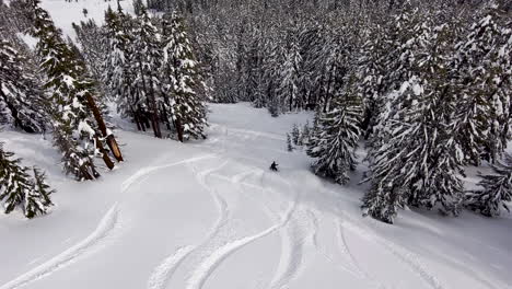 Aerial-view-of-Backcountry-Snowboarding-in-fresh-powder-with-snow-covered-trees