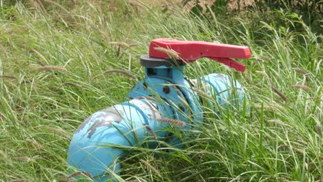 Blue-Pipe-With-Red-Lever-On-Ground-Surrounded-By-Grass