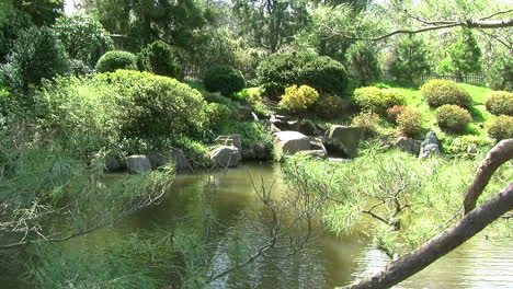 Camera-jibs-from-left-to-right-in-Japanese-garden-with-pond,-stone-lantern-and-waterfall
