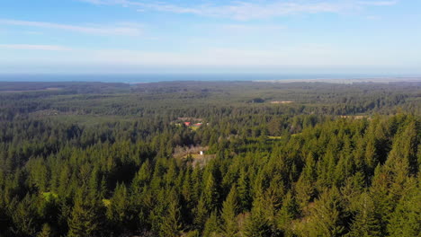 Aerial-forward-of-Port-Orford-coniferous-forest-with-ocean-in-background
