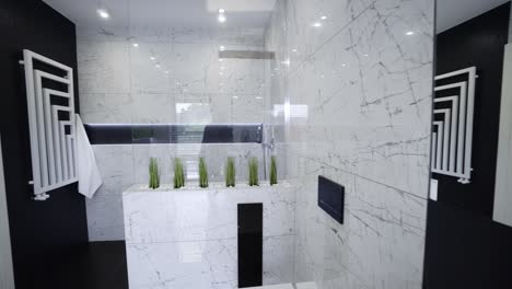 Zeitgenössisches-Badezimmerdesign-–-Modernes-Schwarz-Weiß-Badezimmer