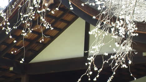 Giebelfassade-Eines-Hauses-Im-Japanischen-Stil-Mit-Hinoki-Holzkonstruktion-Und-Weinenden-Kirschbaumblüten,-Die-Im-Vordergrund-Hängen