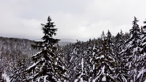 Aerial-drone-pulls-back-revealing-snowy-mountain-trees-in-winter