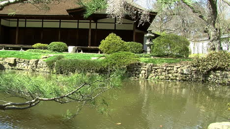 Camera-jibs-at-ground-level-across-view-of-Japanese-garden-and-pond-with-azalea-bush-in-foreground
