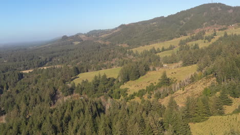 Idyllic-scene-of-Port-Orford-forest-and-hills
