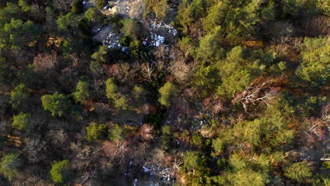 Luftaufnahme-Der-Berglandschaft,-Boreale-Waldbäume-Mit-Schneebedeckten-Felsen