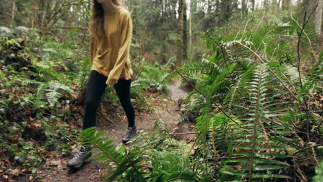 A-young-woman-wearing-a-bright-yellow-jacket-walks-through-a-green-mossy-forest,-sliding-shot-from-behind-a-fern