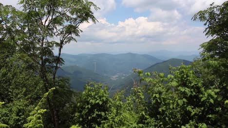 Wunderschöne-Landschaft-Mit-Bergen,-Die-Durch-Bäume-In-North-Carolina,-Vereinigte-Staaten,-Gesehen-Werden