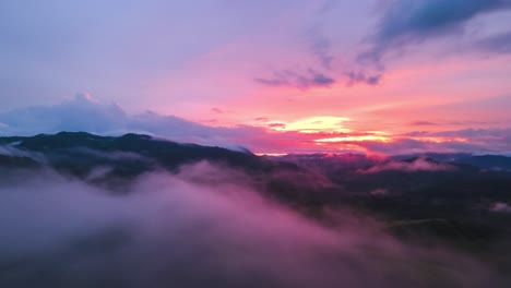 Hyperlapse-Von-Dichtem-Wald-In-Costa-Rica-Mit-Orangefarbenem-Himmel