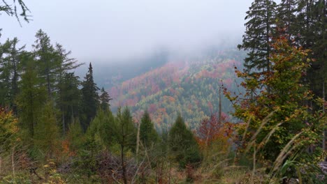 Looking-down-a-colourful-valley-in-Ore-mountains-in-foggy-autumn,-slight-tilt-up