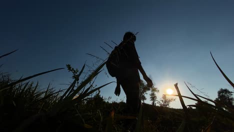 Silhouetted-Backpacker-man-walking-through-vegetation,-bright-sunny-day