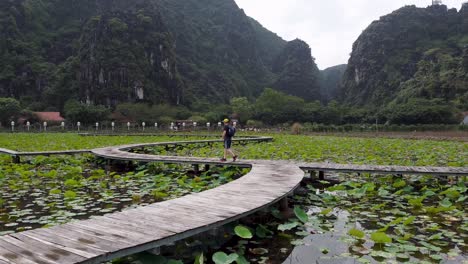 Drone-flyover-lotus-lake-with-tourist-walking-along-gangway,-Ninh-Binh