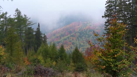 Statische-Ansicht-Eines-Schönen-Tals-Im-Erzgebirge-Im-Nebligen-Und-Farbenfrohen-Herbst