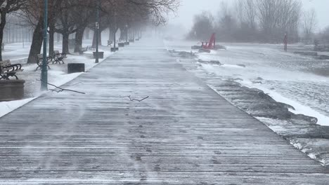 Dark-Winter-Morning-Mist-And-Blizzard-In-Empty-Park-During-Snow-Storm