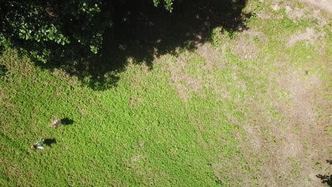 Vertical-video-of-children-playing-in-the-meadow