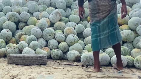 Eine-Große-Ladung-Wintermelone-Kommt-Auf-Einem-Lastkahn-In-Bangladesch-An
