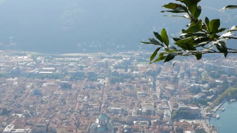 Como-city-view-from-above-with-green-tree-branch-in-foreground,-handheld-view