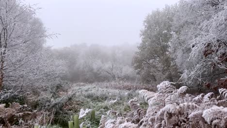 Panning-left-across-morning-frost-and-snow-in-beautiful-countryside