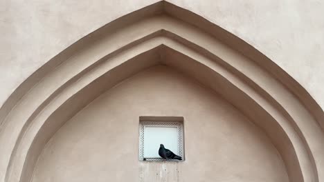 Schwarze-Taube-Sitzt-Auf-Einer-Kante-Der-Mauer-In-Einer-Bogenstruktur-Eines-Alten-Hauses-In-Doha-Katar-Konzept-Aus-Braunem-Traditionellem-Lokalem-Material-In-Der-Architektonischen-Gestaltung-Kunstgeformter-Kreativer-Musterinnenraum