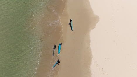 Surfers-Walking-On-The-Shore-At-Bondi-Beach,-Sydney,-New-South-Wales,-Australia---aerial-top-down