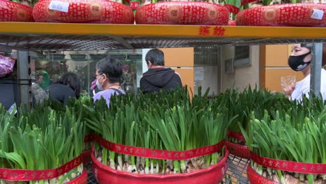 Fußgänger-Gehen-An-Einem-Geschäft-Vorbei,-Das-Blumen-Und-Pflanzen-Verkauft,-Um-Sich-Auf-Das-Bevorstehende-Chinesische-Neujahrsfest-Auf-Einem-Blumenmarkt-In-Hongkong-Vorzubereiten