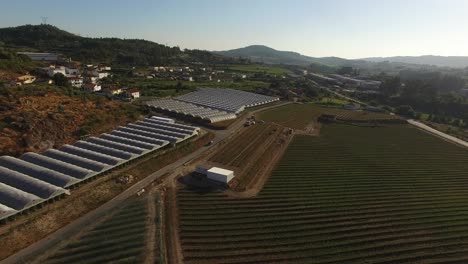 Flying-Over-Industrial-Greenhouses-and-Agriculture-Fields