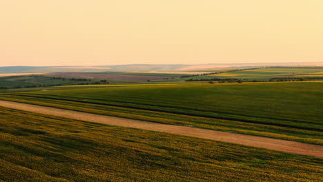 Weitwinkel-Sonnenblumenfelder-In-Moldawien-Während-Des-Sonnenuntergangs