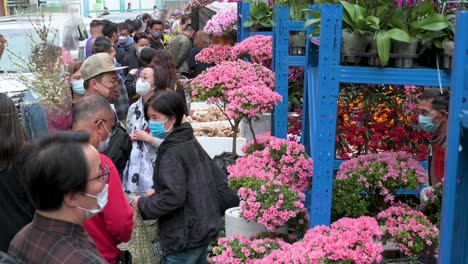 Kunden-Kaufen-Dekorative-Chinesische-Neujahrsblumen-Und-Pflanzen-An-Einem-Straßenstand-Auf-Dem-Blumenmarkt-Vor-Den-Chinesischen-Neujahrsfeierlichkeiten