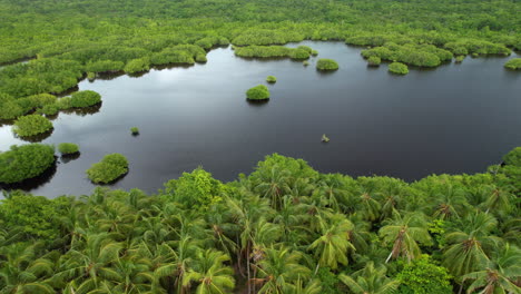 Luftaufnahme-Des-Wasserreservats-Auf-Einer-Karibischen-Insel-Mit-Palmen-Und-Vegetation-Unter-Wasser
