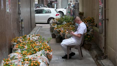 A-man-uses-his-phone-at-a-flower-market-alley-as-kumquat-trees,-also-known-as-tangerine-trees,-the-stock-is-hidden-from-the-public-during-the-preparation-for-the-upcoming-Lunar-Chinese-New-Year-