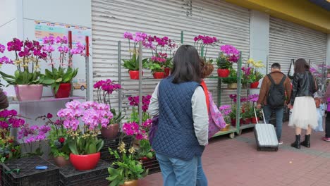 Menschen-Kaufen-Blumen-Und-Pflanzen-Vor-Dem-Chinesischen-Neujahr-Auf-Einem-Blumenmarkt