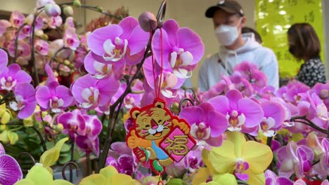 Un-Puesto-De-Flores-Que-Ofrece-Y-Vende-Flores-Temáticas-Típicas-Del-Año-Nuevo-Chino,-Como-Orquídeas,-Durante-Los-Preparativos-Para-El-Próximo-Año-Nuevo-Chino-Lunar-En-Un-Mercado-De-Flores-En-Hong-Kong
