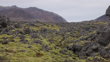 Rugged-old-lava-rock-formations-overgrown-with-moss-in-Iceland