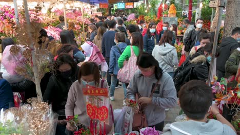Käufer-Kaufen-Dekorative-Chinesische-Neujahrsthemenblumen-Und-Pflanzen-An-Einem-Blumenmarkt-straßenstand-Vor-Den-Chinesischen-Neujahrsfeierlichkeiten