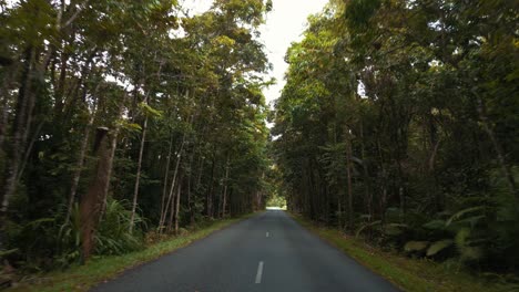 POV-Sicht-Autofahren-Im-Dschungelwald-Regenwald-Entlang-Einer-Landstraße-In-4k-Uhd