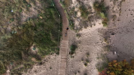 Top-down-aerial-view-above-woman-walking-miniature-Dachshund-along-wooden-beach-boardwalk