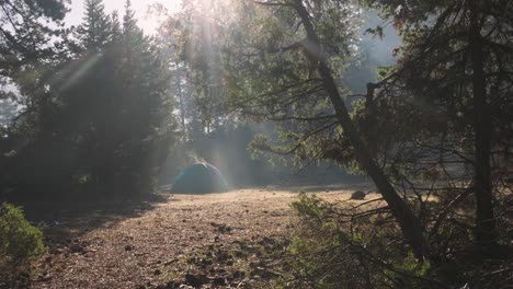 Establishing-shot-of-camping-site-in-middle-of-forest,-sunshine-through-trees,-ecotourism,-sunrays-and-tent