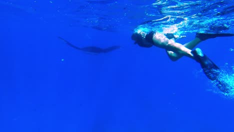 Person-snorkeling-and-spotting-a-manta-ray-swimming-on-the-surface-of-a-reef