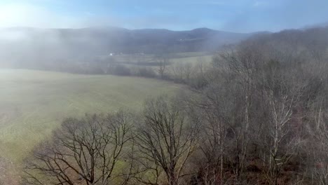 Aerial-Farm-Filed-in-winter-over-treetops,-Yadkin-County-NC,-North-Carolina