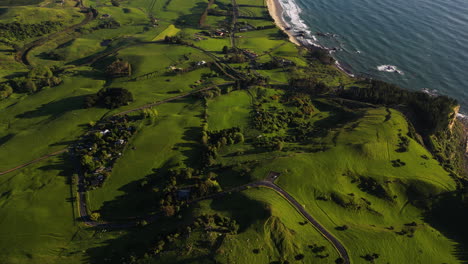 Eine-Schöne-Luftaufnahme-Des-Vorküstengebiets-Karitane,-Neuseeland