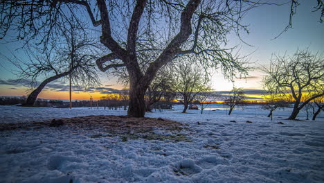 Frozen-orchard-and-glowing-sunrise-sky,-fusion-time-lapse