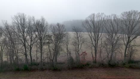 Antenne-über-Der-Winterlichen-Baumgrenze-Im-Farmfeld-In-Yadkin-County-NC,-North-Carolina