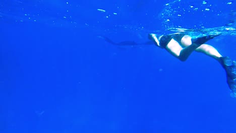 A-woman-swimming-with-a-manta-ray-in-the-blue-ocean