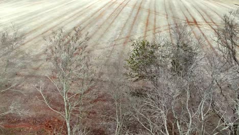 Farmfeld,-Yadkin-County-NC,-North-Carolina-Antenne-Im-Winter