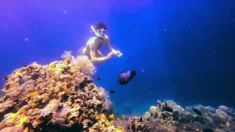 Ein-Mann,-Der-In-Den-Korallenriffen-Des-Tiefblauen-Ozeans-Taucht,-Wobei-Sonnenlicht-In-Das-Wasser-Eindringt
